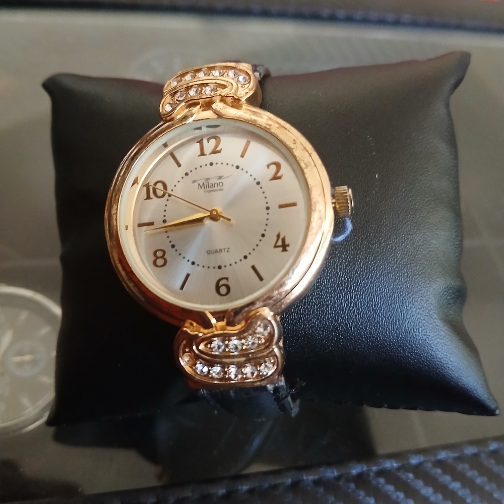Goldtone and Black Watch